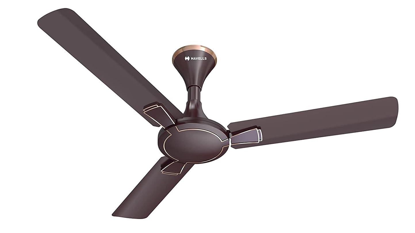 fan